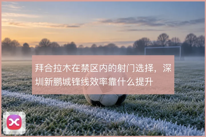 拜合拉木在禁区内的射门选择，深圳新鹏城锋线效率靠什么提升